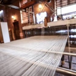 İpek &uuml;retimi i&ccedil;in