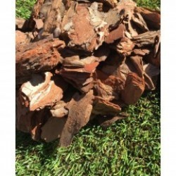 &Ccedil;am ağacı kabuğu