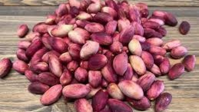  Gaziantep&rsquo;te Fıstık Hasadı: Altın Yeşilin Toprağa D&ouml;n&uuml;ş&uuml;